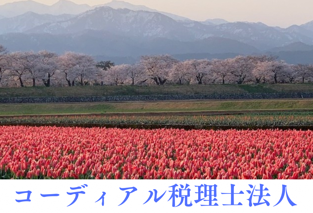 コーディアル税理士法人