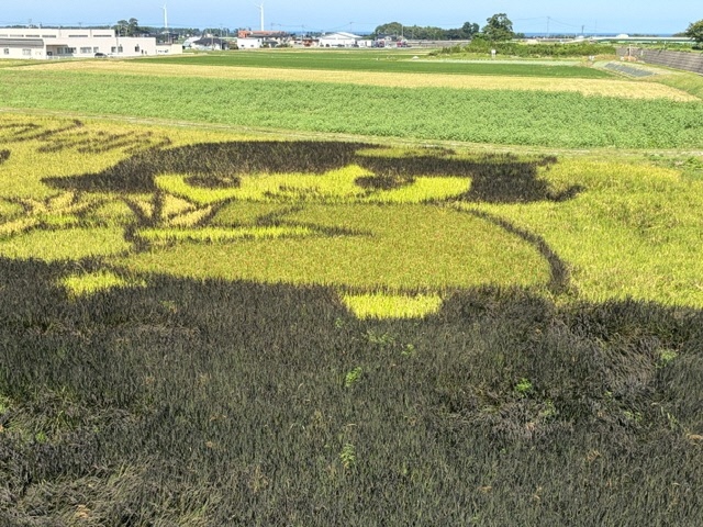 ホームページを公開しました